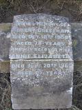 image of grave number 363662